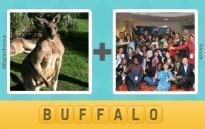 pictoword prince and buffalo.